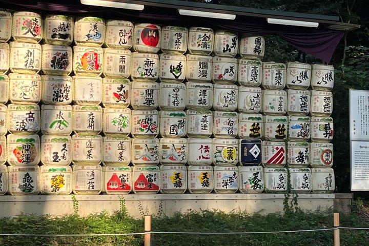 Tokyo endagstur (9 - timme)