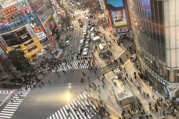 Tokyo endagstur (9 - timme)