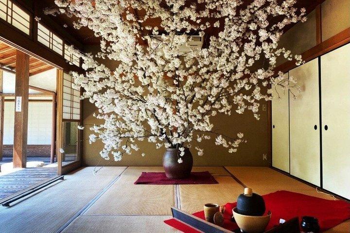 京都桜まつりと宇治抹茶体験日帰りバスツアー
