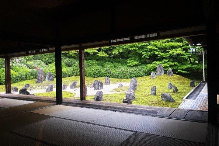 京都桜まつりと宇治抹茶体験日帰りバスツアー