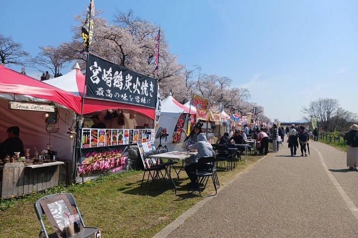 京都桜まつりと宇治抹茶体験日帰りバスツアー