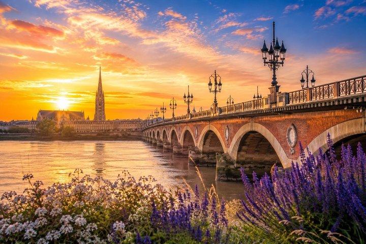 Deluxe Bordeaux Shore udflugt fra Le Verdon Cruise Ship Port