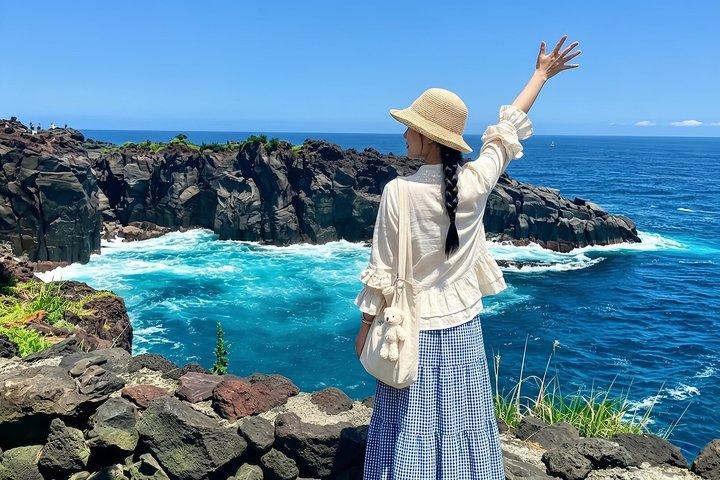 Izu Small Group : Ocean-View Train, Monte Omuro e Costa