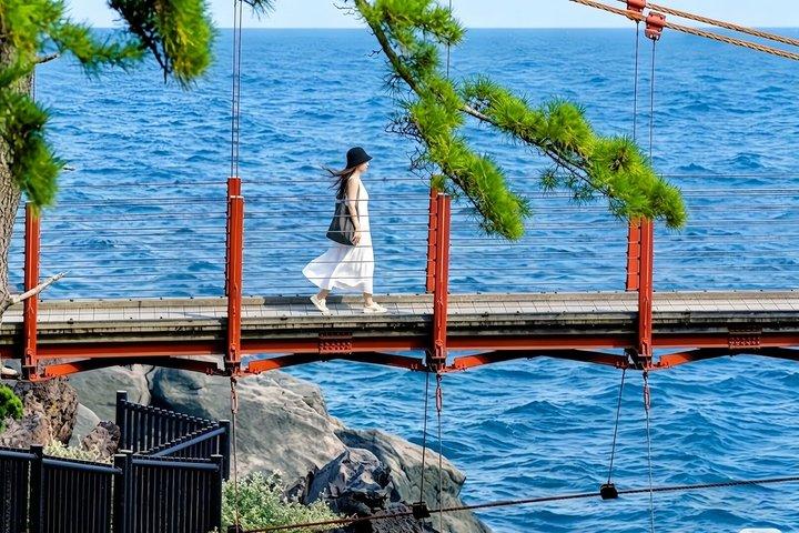 Izu Small Group : Ocean-View Train, Monte Omuro e Costa
