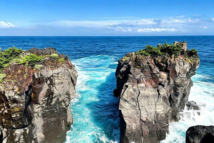 Izu Small Group : Ocean-View Train, Monte Omuro e Costa