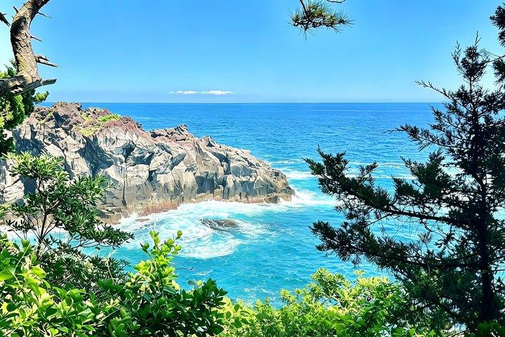 Izu Small Group : Ocean-View Train, Monte Omuro e Costa