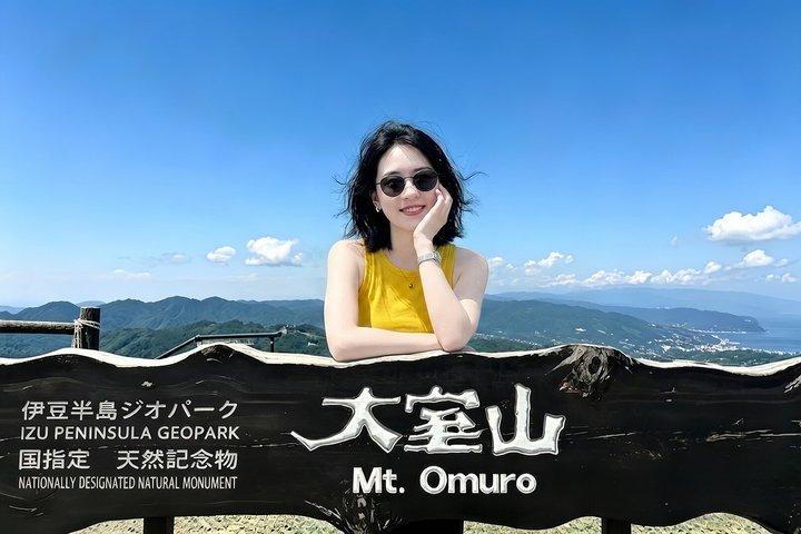 伊豆小グループ：オーシャンビュー列車、大室山＆海岸