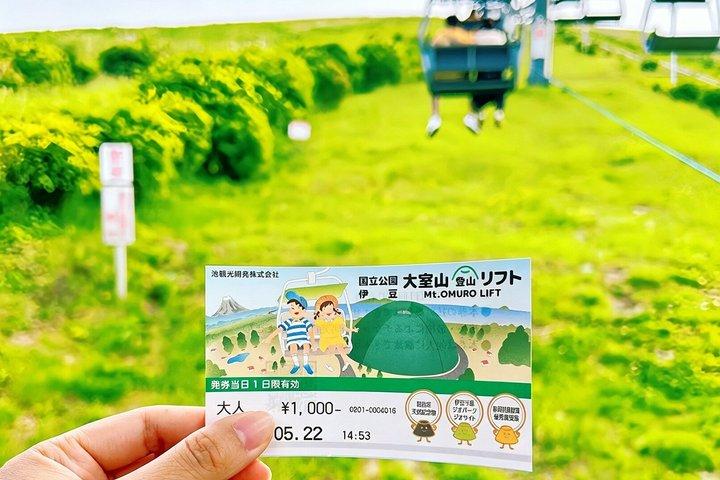 Izu Small Group : Ocean-View Train, Monte Omuro e Costa