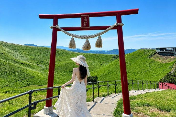 Izu Small Group : Ocean-View Train, Monte Omuro e Costa