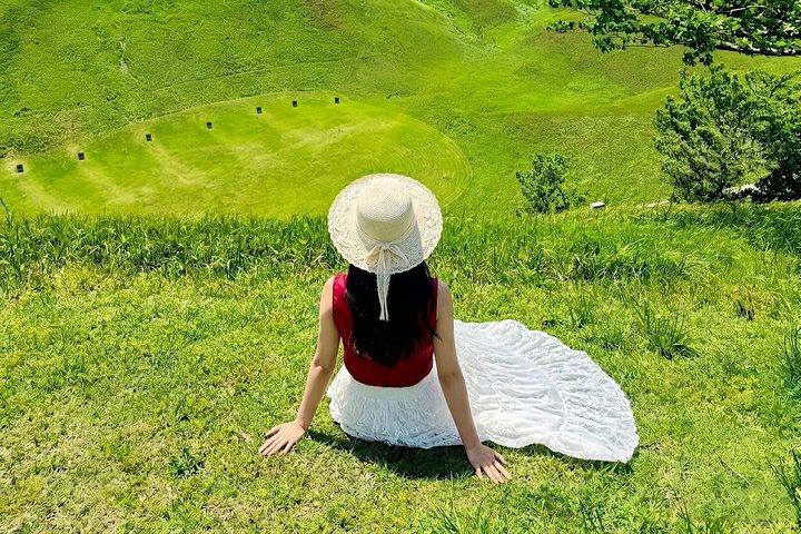 Izu Small Group : Ocean-View Train, Monte Omuro e Costa