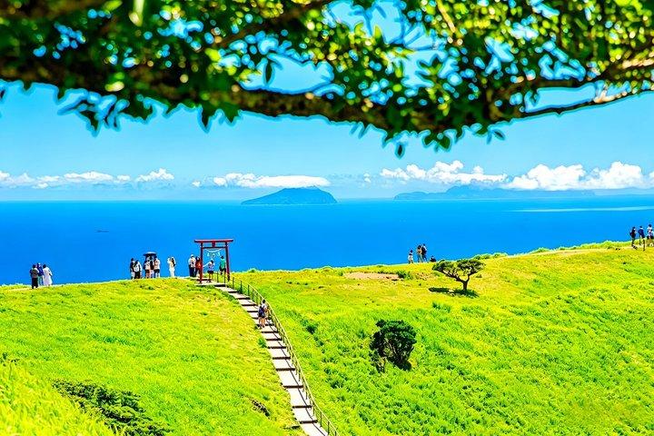 Izu Small Group : Ocean-View Train, Monte Omuro e Costa