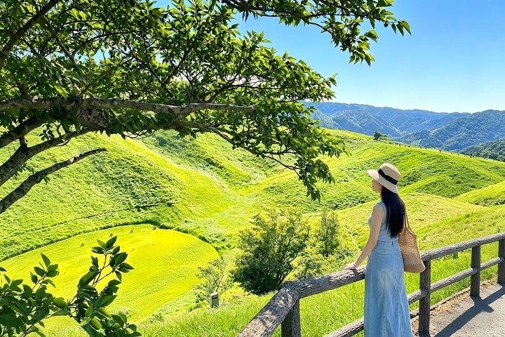 Izu Small Group : Ocean-View Train, Monte Omuro e Costa