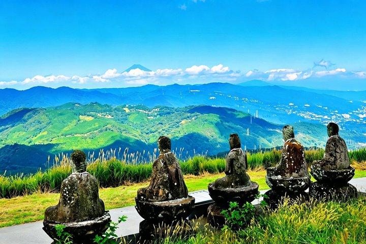 Izu Small Group : Ocean-View Train, Monte Omuro e Costa