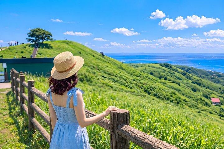 Izu Small Group : Ocean-View Train, Monte Omuro e Costa