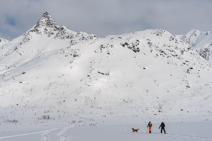 Tromsø : Kvaløya & Sommarøyガイド付きフィヨルドツアー（ランチ付き）