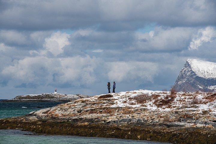 Tromsø : Kvaløya & Sommarøyガイド付きフィヨルドツアー（ランチ付き）