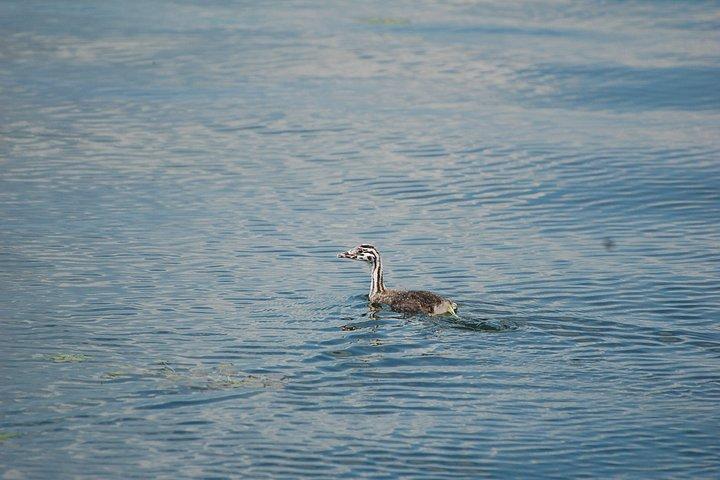 ソフィア発ケルキニ湖ギリシャ自然・文化日帰り旅行