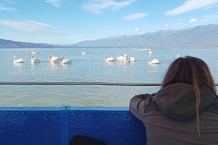 ソフィア発ケルキニ湖ギリシャ自然・文化日帰り旅行