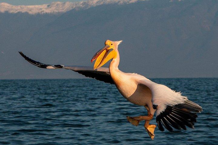 ソフィア発ケルキニ湖ギリシャ自然・文化日帰り旅行