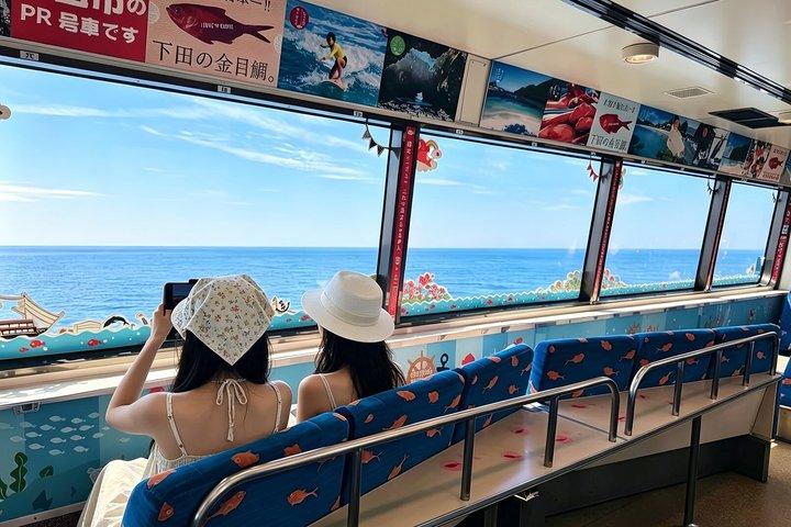 Izu Small Group : Ocean-View Train, Monte Omuro e Costa