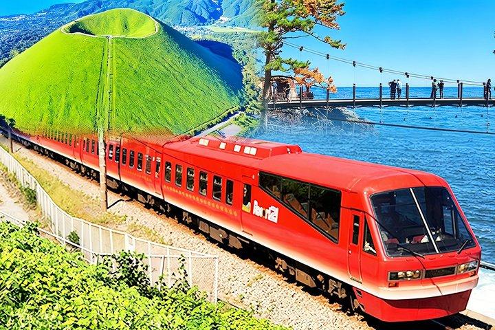 Izu Small Group : Ocean-View Train, Monte Omuro e Costa
