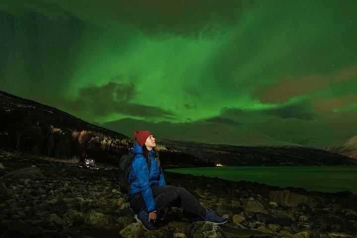 Tromsø : 写真家と行くミニバンによるオーロラツアー