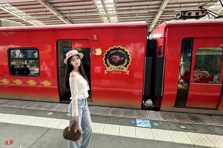 Izu Small Group : Ocean-View Train, Monte Omuro e Costa