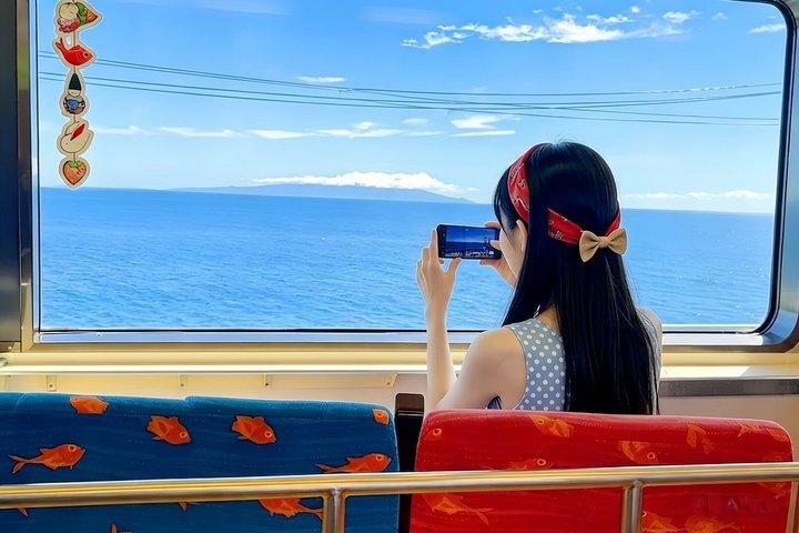 Izu Small Group : Ocean-View Train, Monte Omuro e Costa