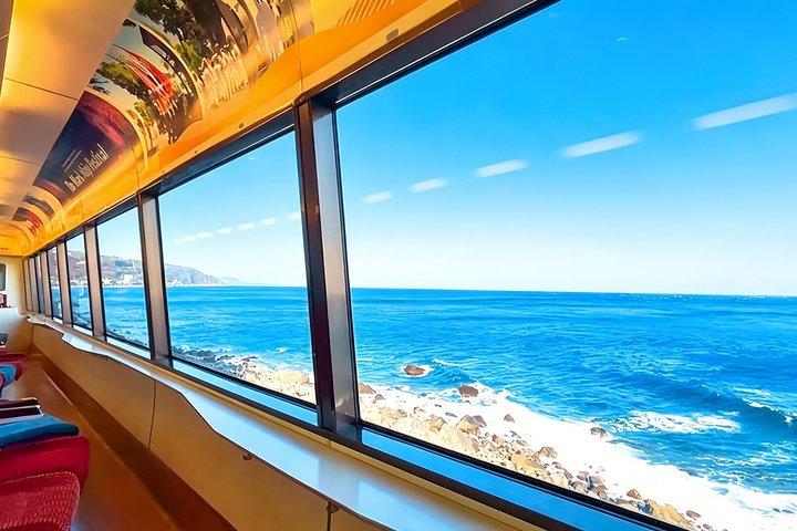 Izu Small Group : Ocean-View Train, Monte Omuro e Costa