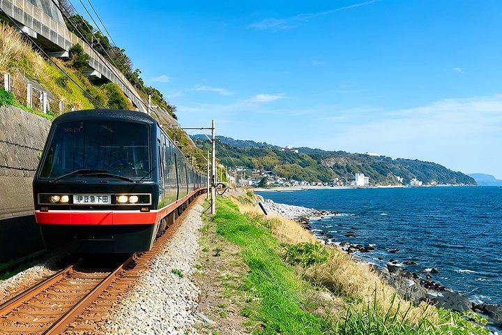 Izu Small Group : Ocean-View Train, Monte Omuro e Costa