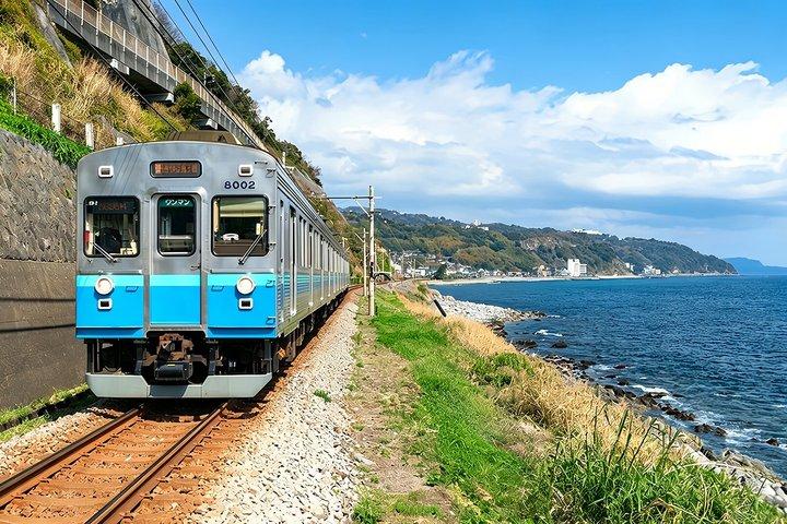 Izu Small Group : Ocean-View Train, Monte Omuro e Costa