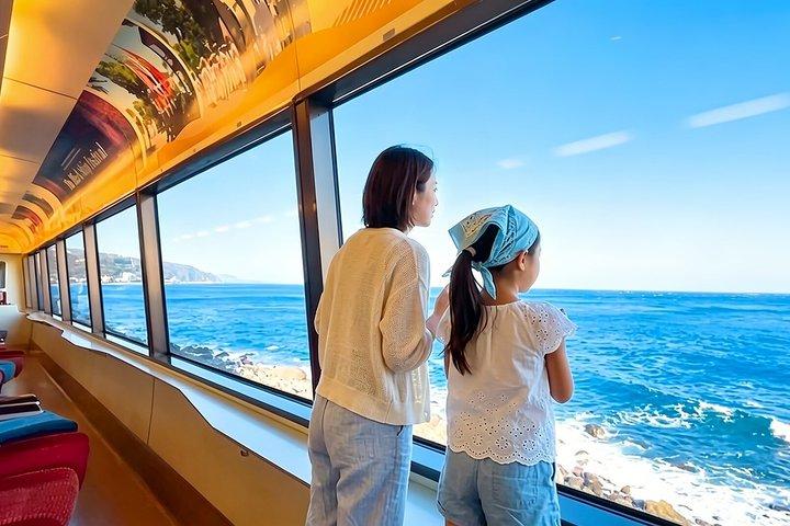 Izu Small Group : Ocean-View Train, Monte Omuro e Costa