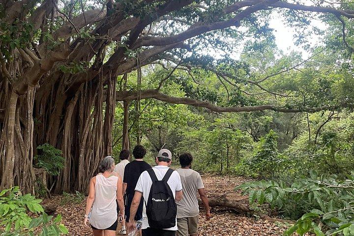 From Ella to Yala: Cooking Class, Kayaking & Cultural exchange