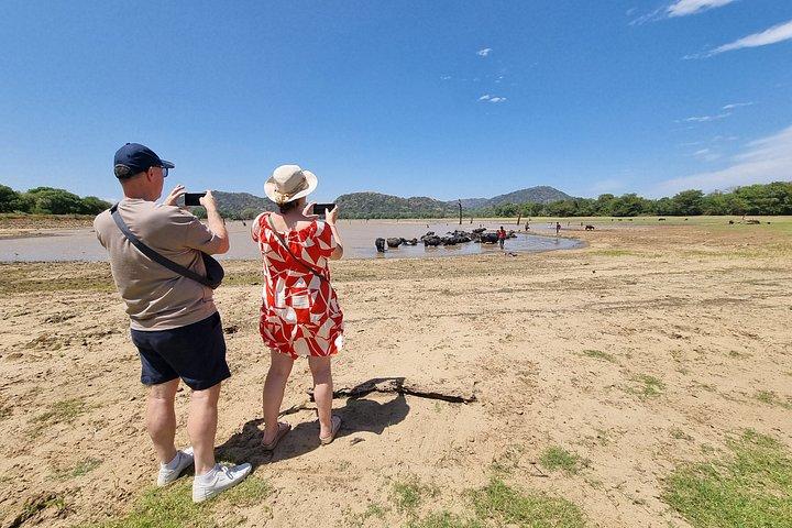 From Ella to Yala: Cooking Class, Kayaking & Cultural exchange