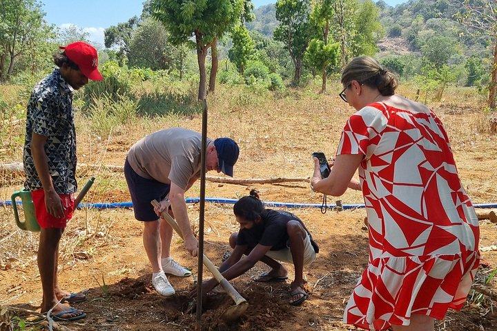 From Ella to Yala: Cooking Class, Kayaking & Cultural exchange