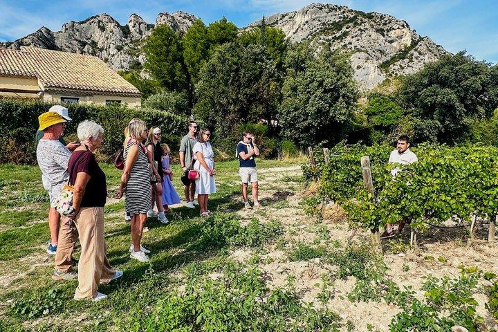 Private Cassis Wein- und Mittelmeertour - Calanques Cap Canaille