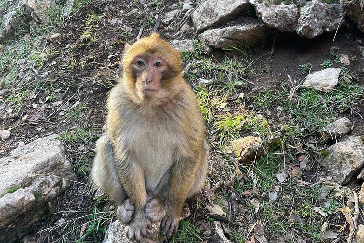 エルグ・チェビ経由、フェズからマラケシュへの2泊3日の砂漠ツアー