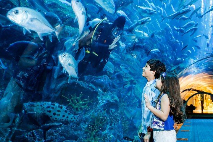 Explore Dubai Aquarium and Underwater Zoo with All Access Entry