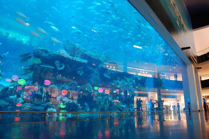 Explore Dubai Aquarium and Underwater Zoo with All Access Entry