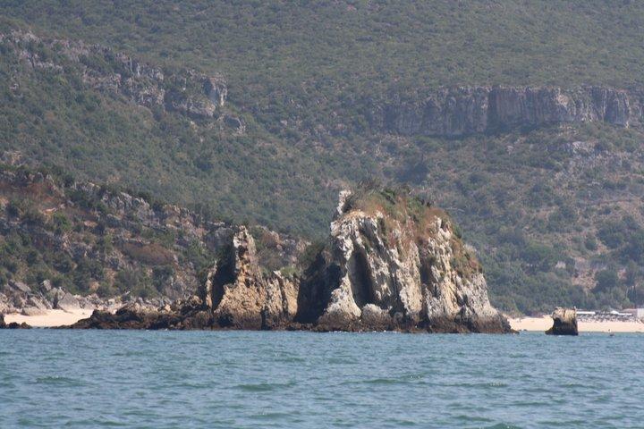 セシンブラでのボートツアー：地元ガイドと一緒に洞窟探検とシュノーケリングを楽​​しもう。