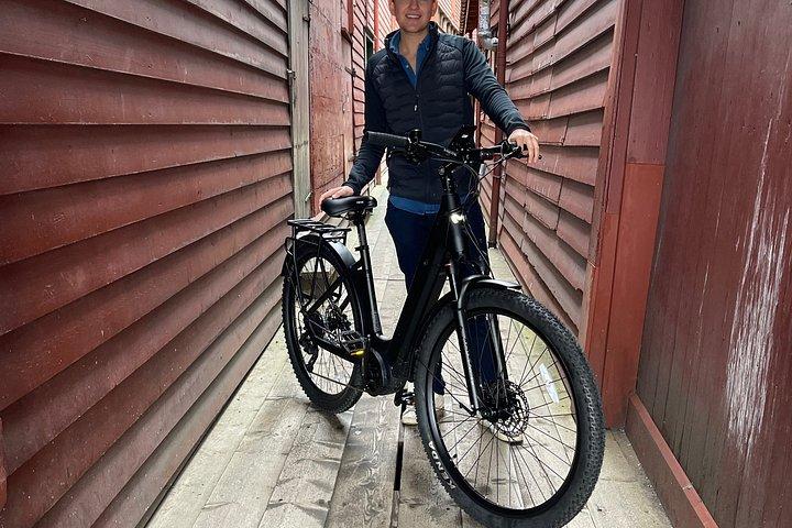 ベルゲンEバイクツアー石畳の道と地元の文化を探索
