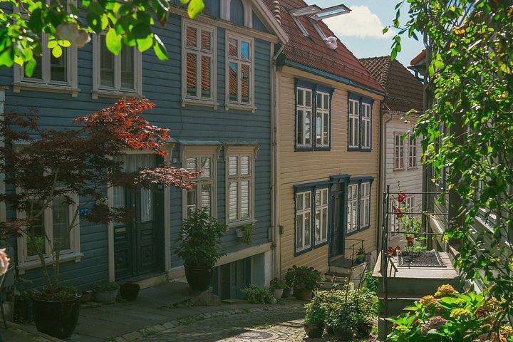 Private Bergen citytour By VIP Car & Guide