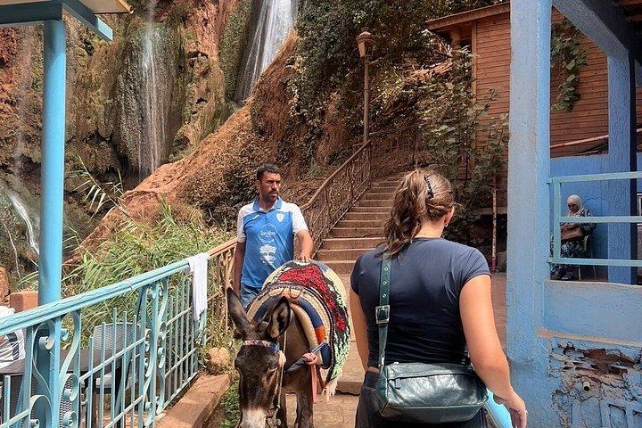 マラケシュからのオウズード滝日帰り旅行 - Cascades d'Ouzoud