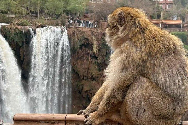 マラケシュからのオウズード滝日帰り旅行 - Cascades d'Ouzoud