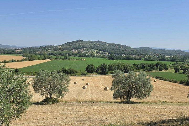 Perugia: E-Bike-Tour & Weinverkostung
