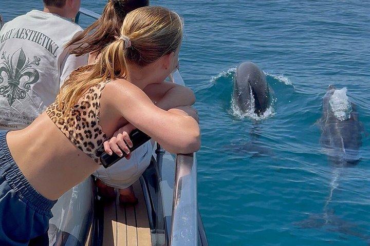 2H Private Dolphin Trip With Drinks Included in Estepona
