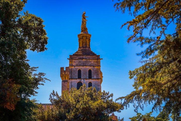 La historia de Avignon, la cultura local y los vinos de Châteauneuf du Pape tour privado