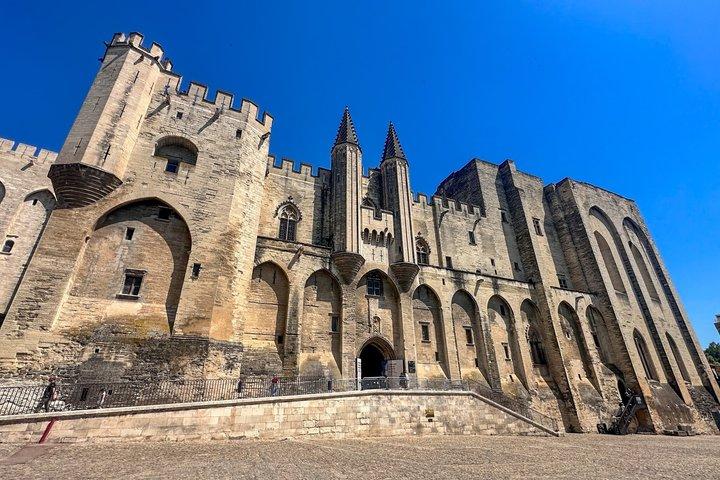 アヴィニョンの歴史、地元の文化、Châteauneufdu Papeプライベートツアーのワイン
