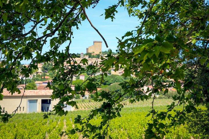 Châteauneuf Du Pape intensieve wijngaard & fijne wijnervaring