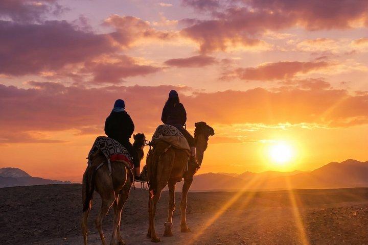 Magical Agafay Desert Sunset Camel Ride, Dinner & Live Fire Show